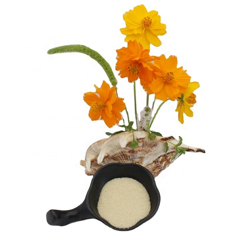 High quality raw material food grade bulk gelatin with best price